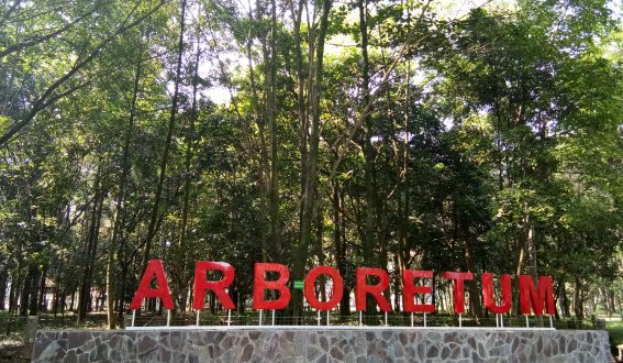 ARBORETUM