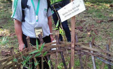 Arboretum Bambu dijadikan Lokasi Praktik Peserta Diklat