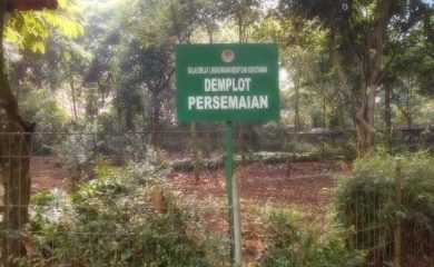 Demplot Persemaian
