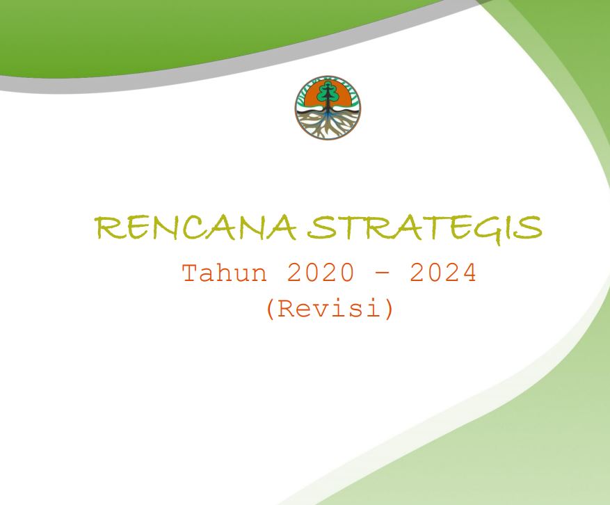 renstra 2020=2024_cover